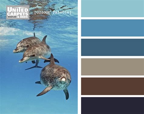 Dolphin Tones Color Inspiration Color Palette Dolphins
