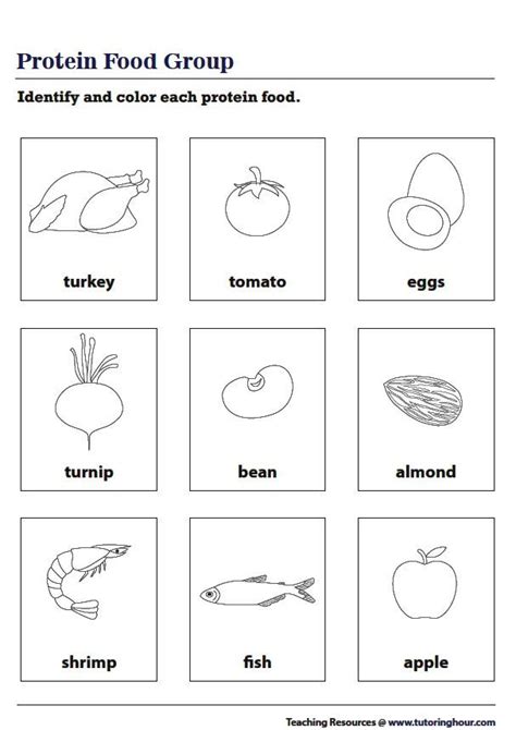 Protein Food Group Worksheet Spanish Classroom Posters Science