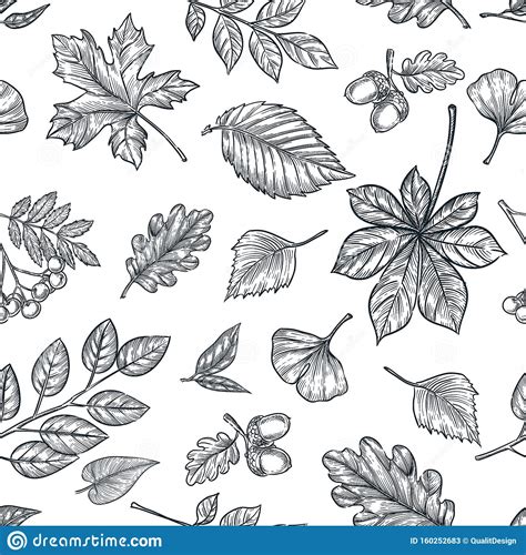 Autumn Black White Outline Leaves Seamless Pattern Vector Hand Drawn
