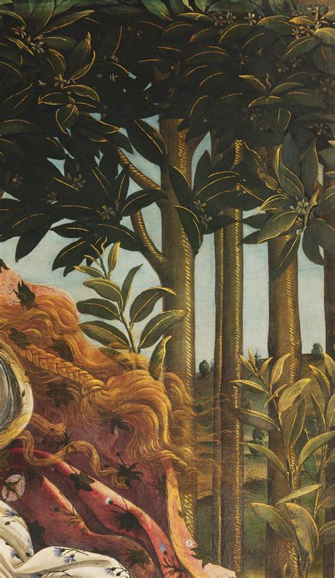 Botticelli S Venus A Symbol Of The Renaissance