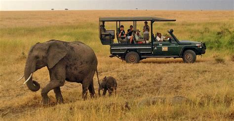 Kenya Tanzania Safari African Safaris Natural Habitat