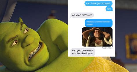 24 Reaction Shrek Meme Face Woolseygirls Meme