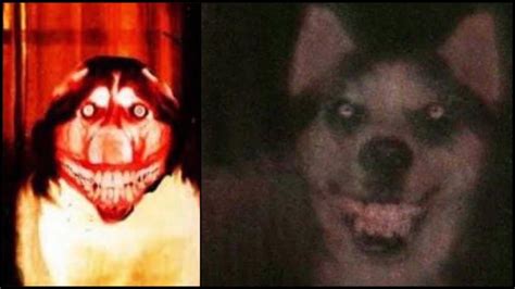 Whos Smile Dog The Scary Story Behind The Creepypasta Mundo Seriex