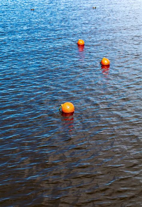 Three Bright Orange Buoys Floating On River Water Surface Stock Image
