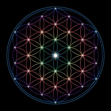 How To Draw Flower Of Life Best Flower Site