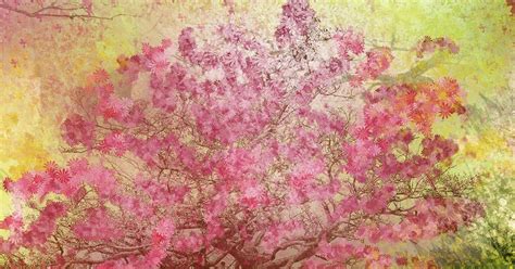28 Spring Watercolor Wallpaper Iphone Ai11 Flower Spring Art Illust