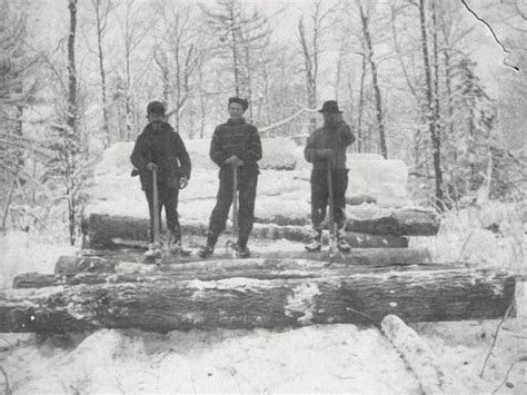 Early 1900s Logging Operation In Canton