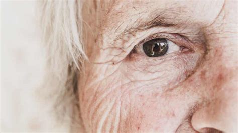 Teorías Del Envejecimiento ¿por Qué Envejecemos La Mente Es Maravillosa