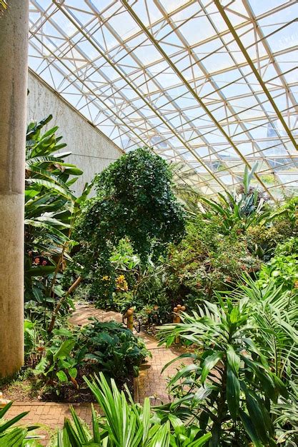 Premium Photo Greenhouse Walking Path In Rain Forest With Glass Ceiling