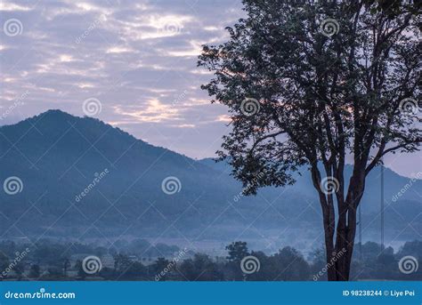 Tree Swing Of Mari Pai In Pai Thailand Stock Photo Image Of Morning