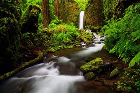 Papeis De Parede Rios Queda De água Florestas Columbia Oregon