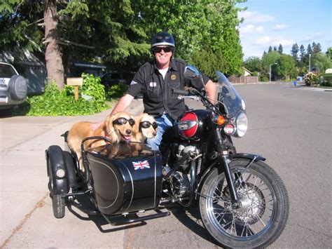 Doggles Motorcycle Style Sidecar Motorcycle