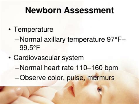 Ppt Newborn Transition Assessment Powerpoint Presentation Id5570033