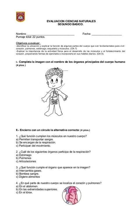 Cada respuesta correcta tendrá el valor de. Prueba ciencias sistemas, aliment. saludable 2° | Words