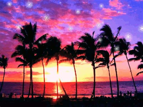 Hawaii Sunset 