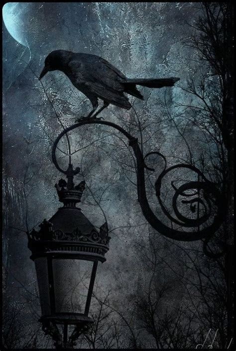 New Images On Imgfave Gothic Art Dark Art Dark Fantasy