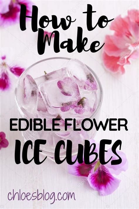 How To Make Edible Flower Ice Cubes 3 Easy Steps Flower Ice Cubes