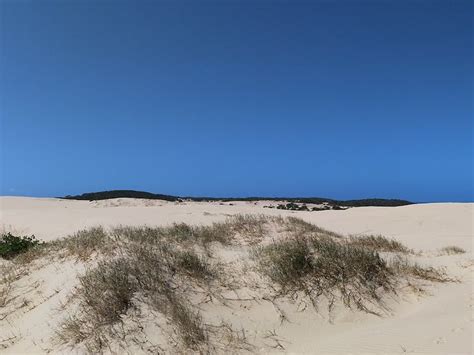 Wetlands And Sand Dunes Guided Walk Nsw Holidays And Accommodation