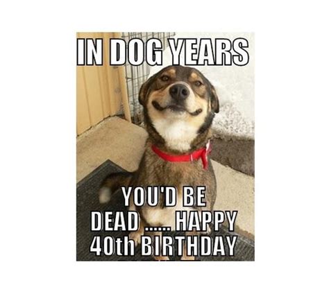 These 40th birthday wishes include funny messages, inspirational words, and poems about turning 40. Happy 40th Birthday Memes | WishesGreeting