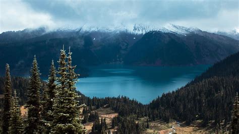 Lake Spruce Trees Mountains Forest Clouds