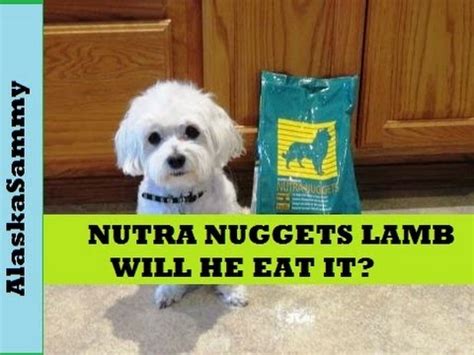 The process of weaning is considered to be a stressful one as puppies shift from mother's milk to solid food. Nutra Nuggets Dog Food Lamb and Rice - YouTube