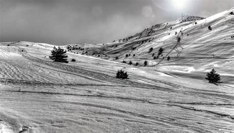 Cette station dépend de la commune de gréolières. Gréolières les neiges B&W - Image & Photo de liquidphotos ...
