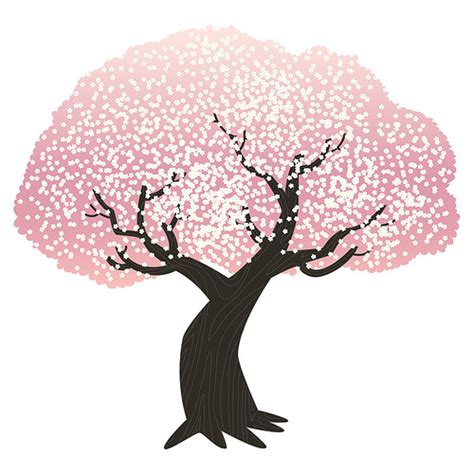 Japanese Cherry Blossom Tree Drawing At Getdrawings Free
