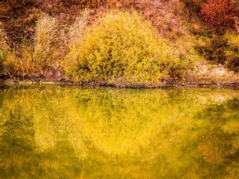 Calm Autumn Pond Stock Photo Image Of Cloudy Autumn 132857312