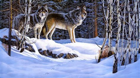 Wolves In Winter Forest Image Abyss