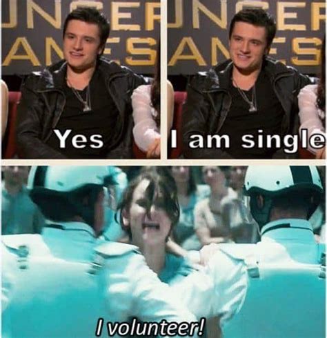 20 hunger games memes that only fans will understand
