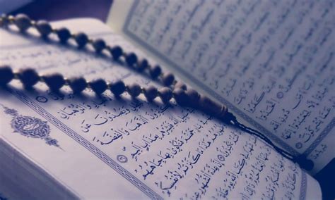 Education Quran And Sunnah •