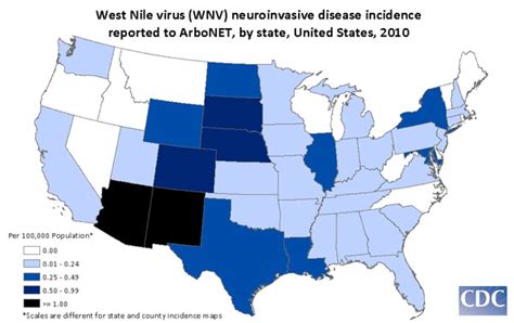 Cienciasmedicasnews West Nile Virus Cdc Features West Nile Virus