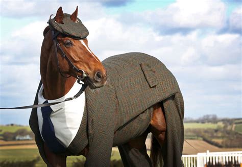 Horse Gets Tailored Three Piece Suit Looks Absolutely Dashing Bored