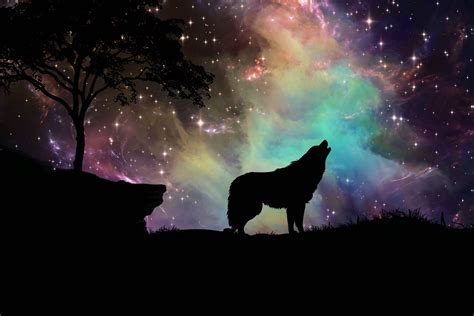 Wolf Wallpapers 4k For Your Phone And Desktop Screen