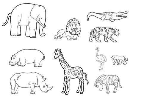 Coloriage Animaux Sauvages à Télécharger