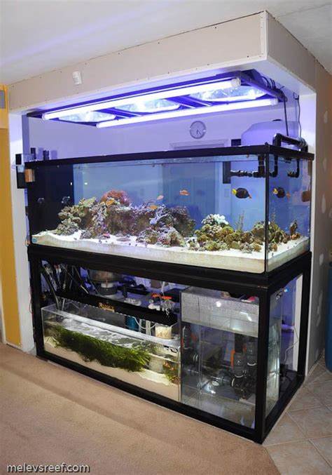  besides Overhead Fish Tank Filters. on fish tank filter setup pictures
