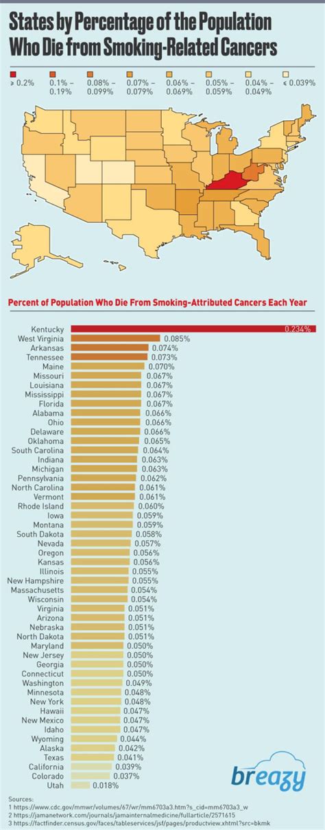 State Wise Review Of Smokers And Smoking Related Cancer Deaths In Usa Infographic