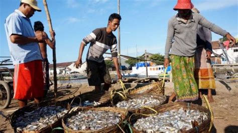 Petani Dan Nelayan Di Indonesia Masih Miskin
