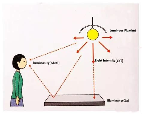 Light Bulbs The Relationship Between Luminous Flux And Optical Power