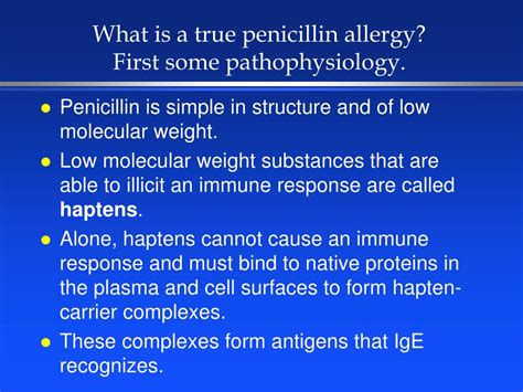 Ppt An Examination Of Penicillin Allergy Powerpoint Presentation Id