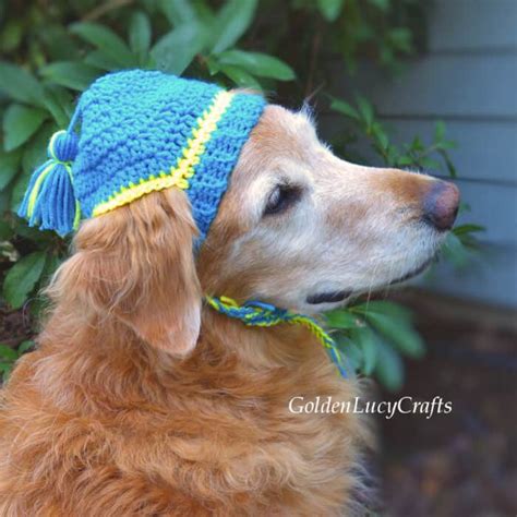 Crochet Dog Hat Free Crochet Pattern Goldenlucycrafts