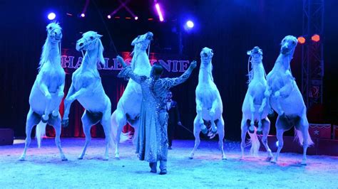 Zirkus Charles Knie Volles Zelt Bei Premiere In Ehingen Südwest