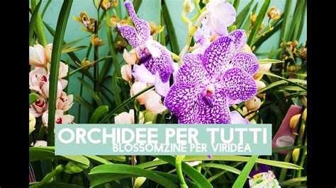 Piante e fiori infatti, sono considerati veri e propri elementi di decoro, un tocco di stile delicato, ma che allo stesso tempo donerà carattere all'intero arredamento. Orchidee ! Arredare con i fiori tropicali la tua casa - YouTube