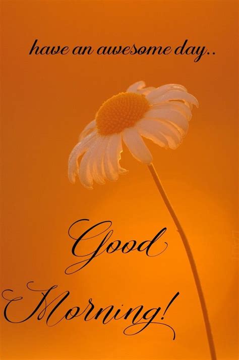 Pin By Lalit Rana On Morning Wishes Morning Greeting Good Morning