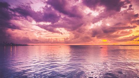 Beautiful Purple Sea And Pink Horizon Sunrise 4k Sunrise Wallpapers