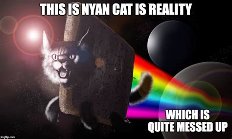 Real Nyan Cat Imgflip