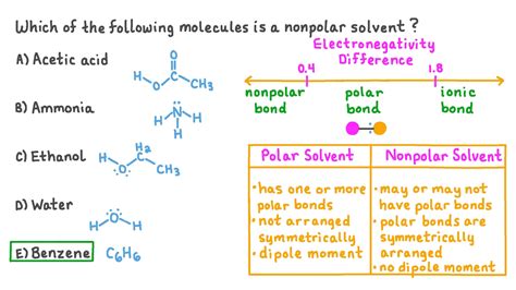 Ethanol Molecule Polarity