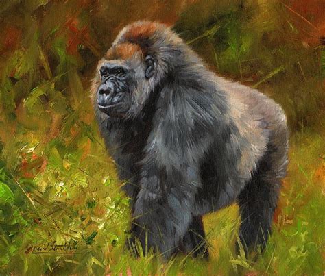 Gorilla Painting By David Stribbling Fine Art America