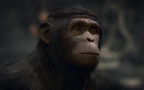The third installment in this reboot series, war finds the intelligent apes led by caesar doing battle with an army of humans led by colonel mccullough (woody harrelson). Oaka | Planet of the Apes Wiki | FANDOM powered by Wikia