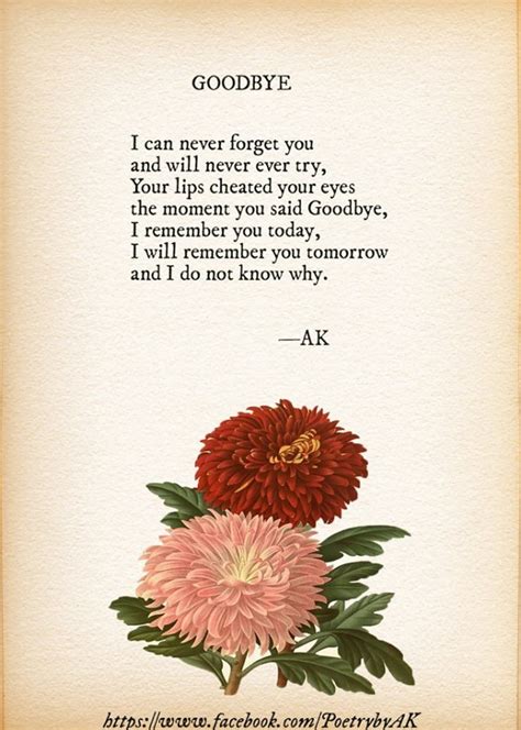 Goodbye Poem